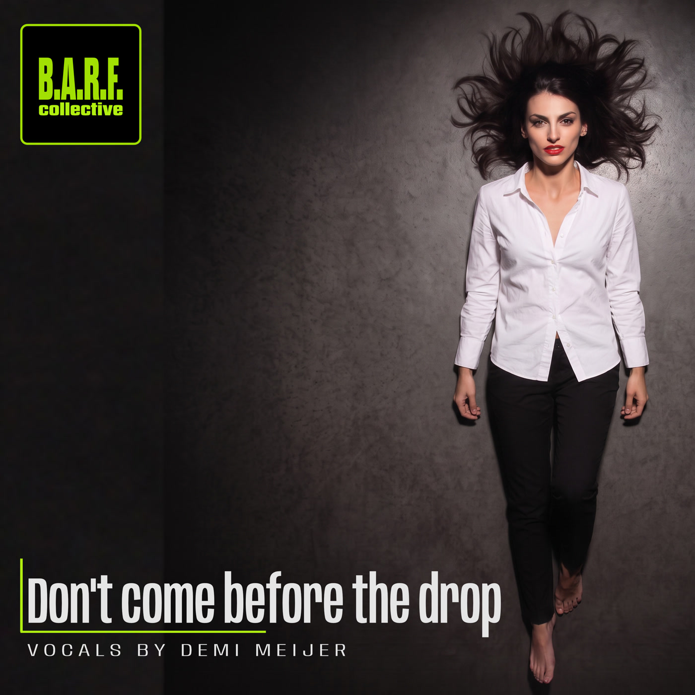 Cover of Don’t Come Before the Drop